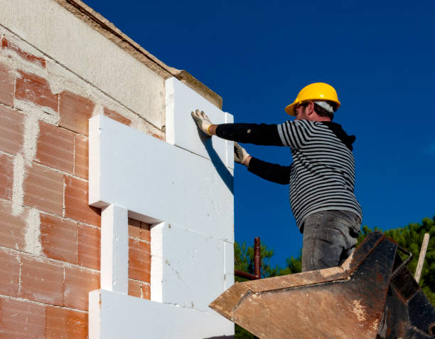 Best Attic Insulation Installation  in Faison, NC