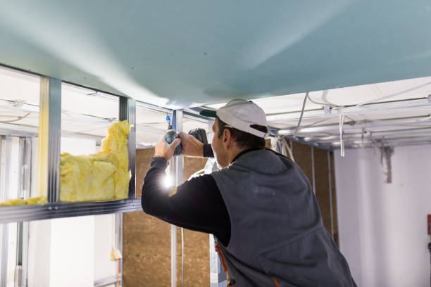 Best Insulation Contractor Near Me  in Faison, NC