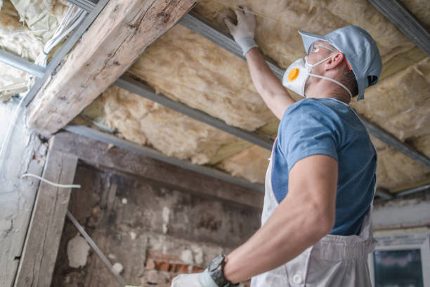 Professional Insulation Contractor in Faison, NC