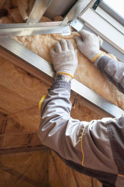 Best Professional Insulation Contractor  in Faison, NC