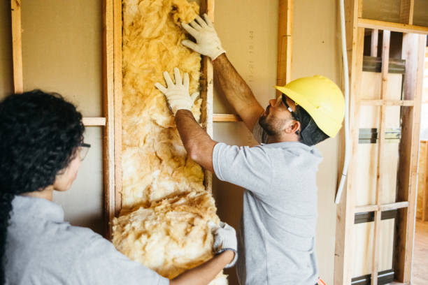 Best Insulation Removal  in Faison, NC