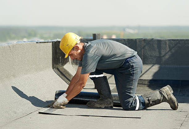 Best Spray Foam Insulation  in Faison, NC