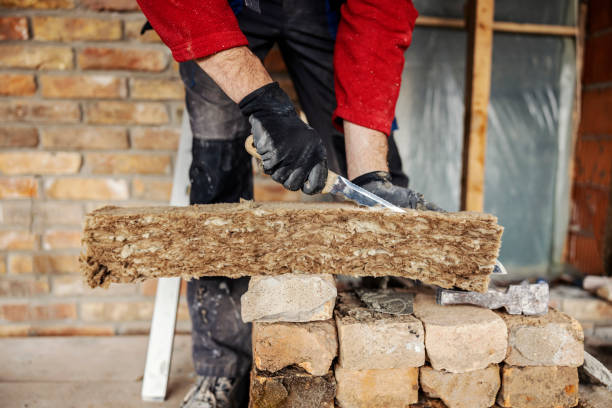 Best Home Insulation Services  in Faison, NC