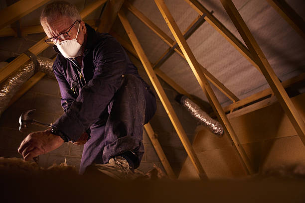 Best Crawl Space Insulation  in Faison, NC