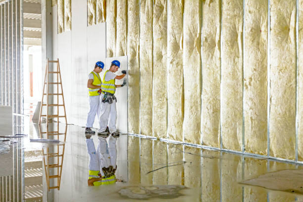 Best Fiberglass Insulation  in Faison, NC